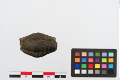 Foto von Glasmelonenperle (NHMW-PRAE-024747)